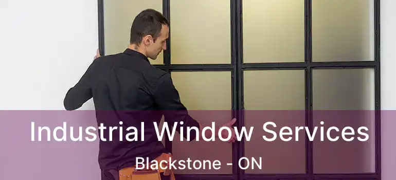  Industrial Window Services Blackstone - ON