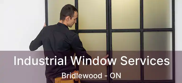  Industrial Window Services Bridlewood - ON