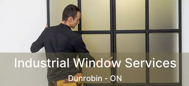  Industrial Window Services Dunrobin - ON
