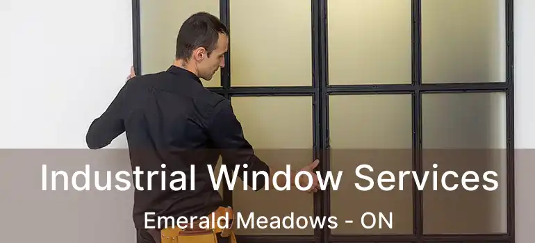  Industrial Window Services Emerald Meadows - ON