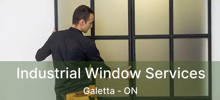  Industrial Window Services Galetta - ON