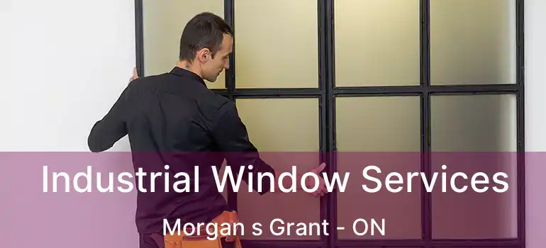 Industrial Window Services Morgan s Grant - ON