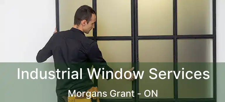  Industrial Window Services Morgans Grant - ON