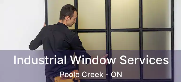  Industrial Window Services Poole Creek - ON