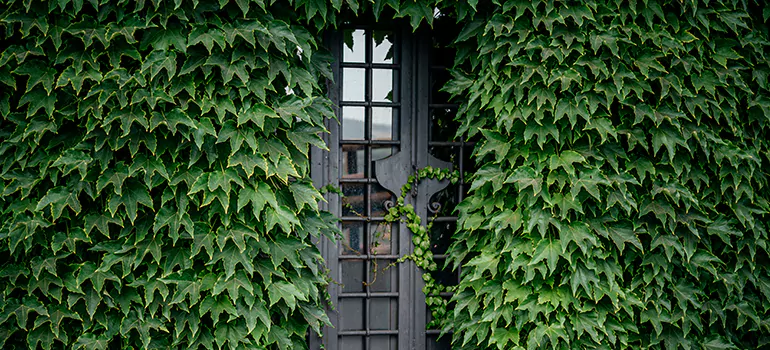 Garden Gate Repair in Kanata, ON