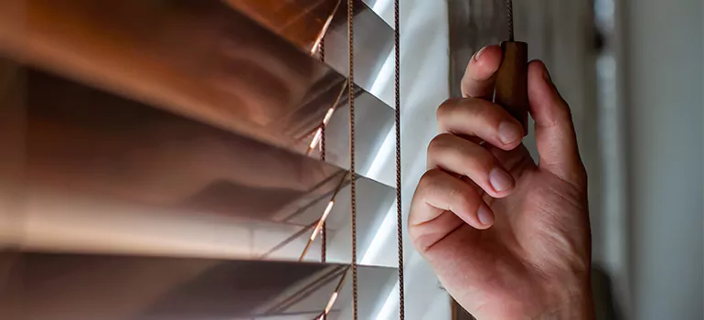 Double Roller Blinds in Kanata, Ontario