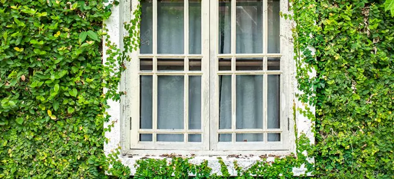 arden Window Repair Near Me in Kanata, ON