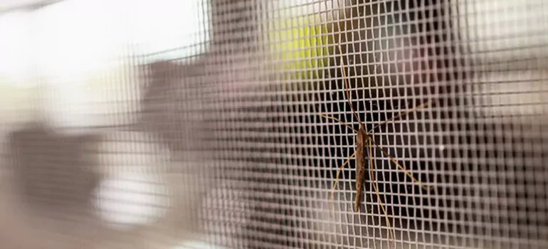Repair Mosquito Mesh For Windows in Kanata, Ontario