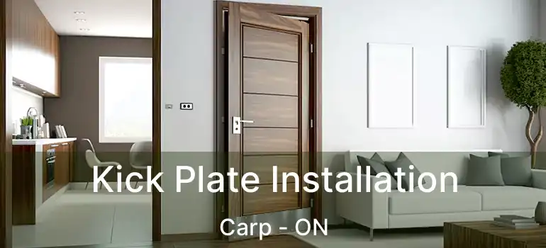  Kick Plate Installation Carp - ON