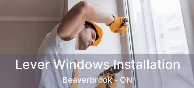  Lever Windows Installation Beaverbrook - ON