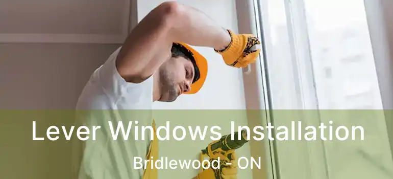  Lever Windows Installation Bridlewood - ON