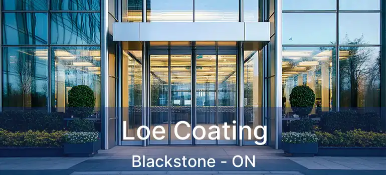  Loe Coating Blackstone - ON