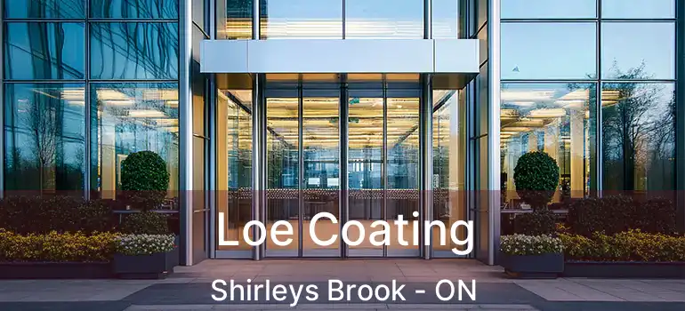  Loe Coating Shirleys Brook - ON