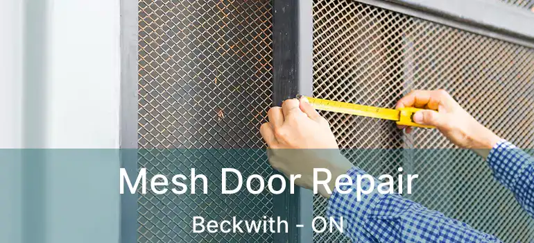  Mesh Door Repair Beckwith - ON