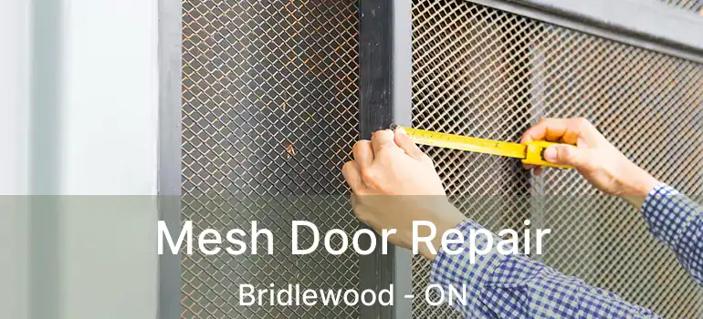  Mesh Door Repair Bridlewood - ON