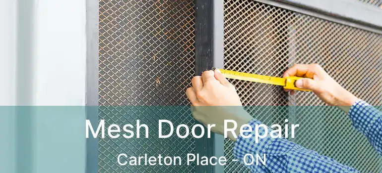  Mesh Door Repair Carleton Place - ON