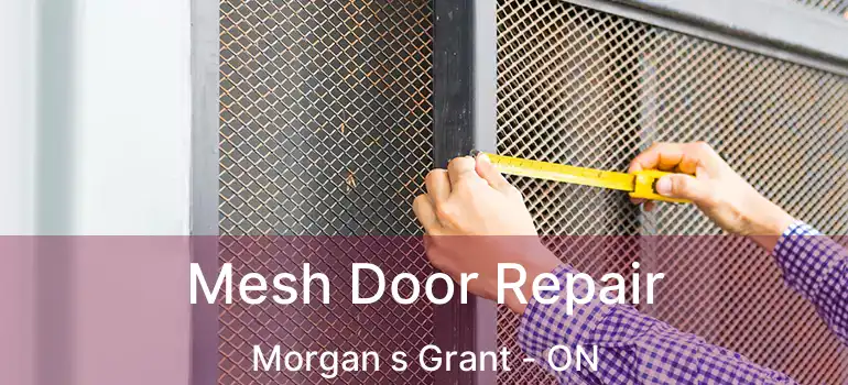  Mesh Door Repair Morgan s Grant - ON