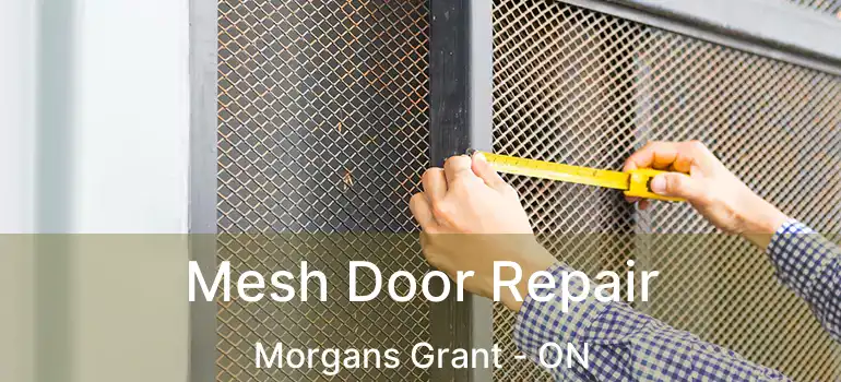  Mesh Door Repair Morgans Grant - ON
