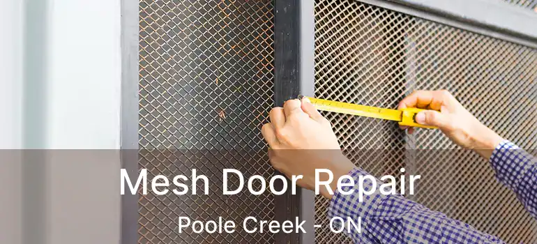  Mesh Door Repair Poole Creek - ON