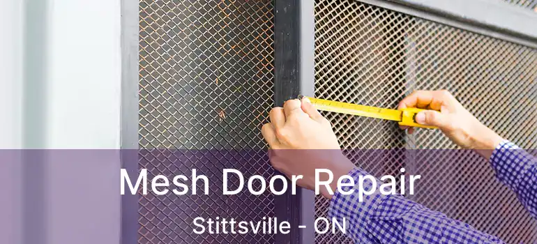  Mesh Door Repair Stittsville - ON