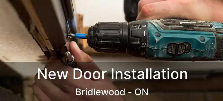  New Door Installation Bridlewood - ON
