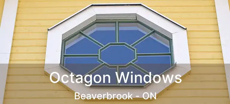  Octagon Windows Beaverbrook - ON