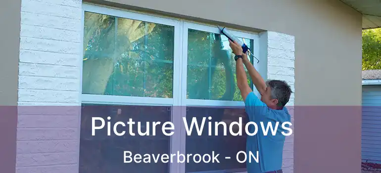  Picture Windows Beaverbrook - ON