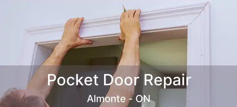  Pocket Door Repair Almonte - ON