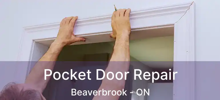  Pocket Door Repair Beaverbrook - ON