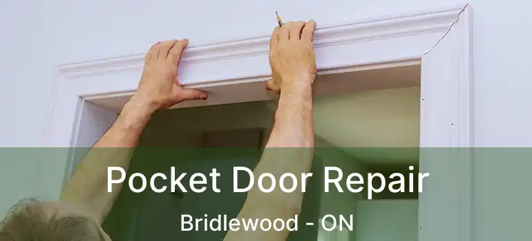  Pocket Door Repair Bridlewood - ON