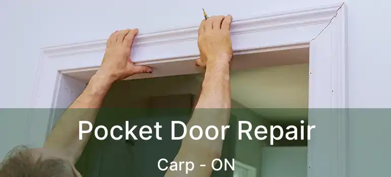  Pocket Door Repair Carp - ON