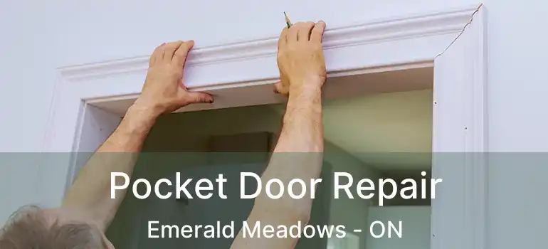  Pocket Door Repair Emerald Meadows - ON