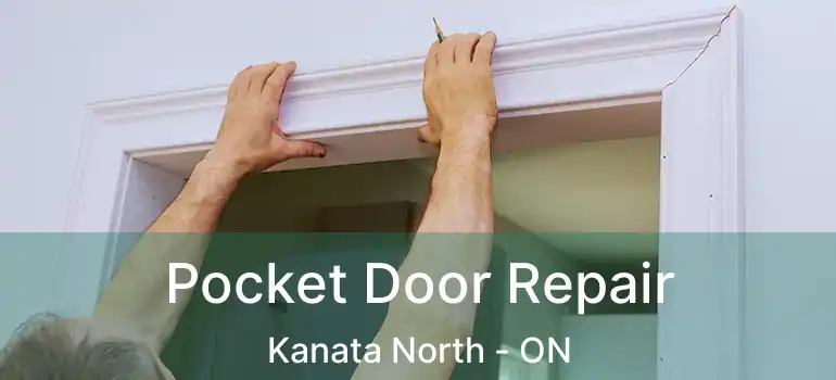  Pocket Door Repair Kanata North - ON