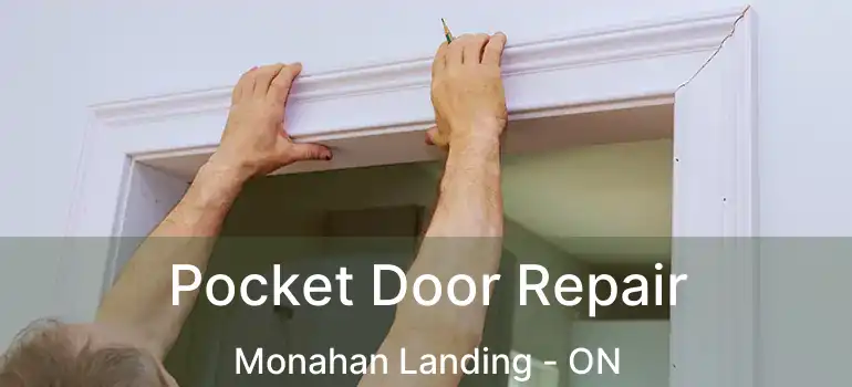  Pocket Door Repair Monahan Landing - ON