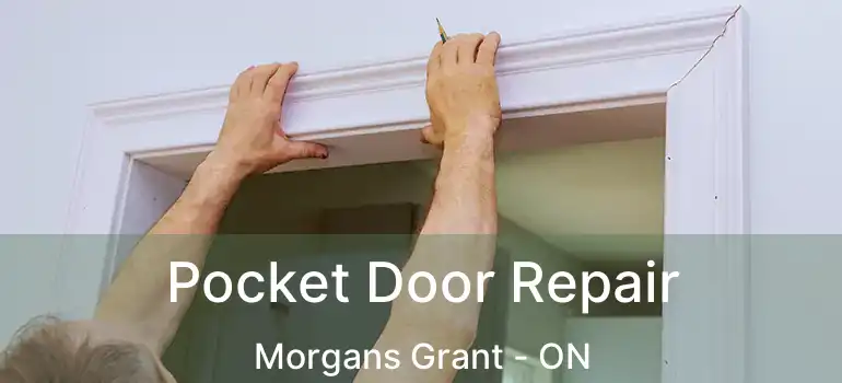  Pocket Door Repair Morgans Grant - ON