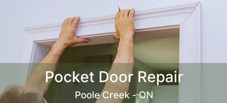  Pocket Door Repair Poole Creek - ON