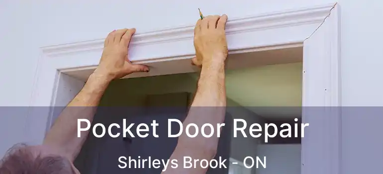  Pocket Door Repair Shirleys Brook - ON