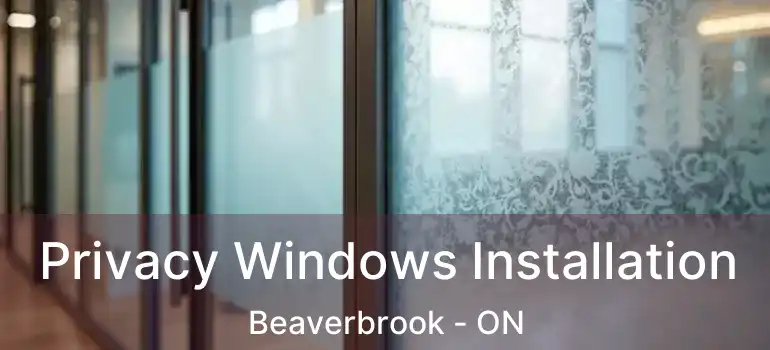  Privacy Windows Installation Beaverbrook - ON