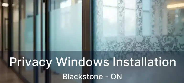  Privacy Windows Installation Blackstone - ON