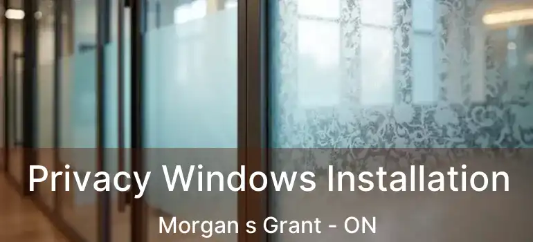  Privacy Windows Installation Morgan s Grant - ON