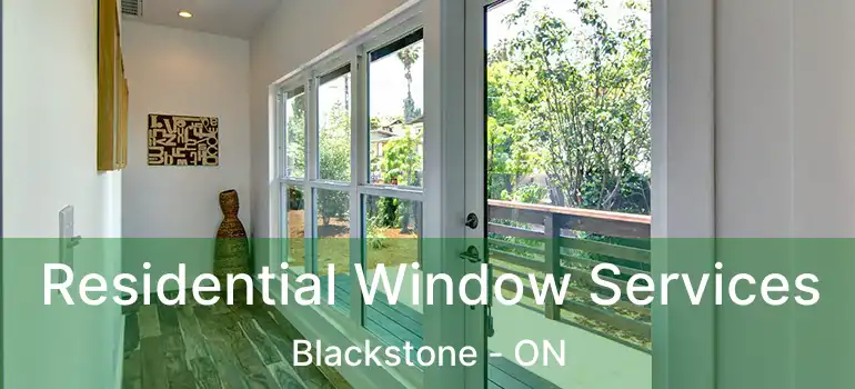  Residential Window Services Blackstone - ON
