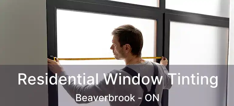  Residential Window Tinting Beaverbrook - ON