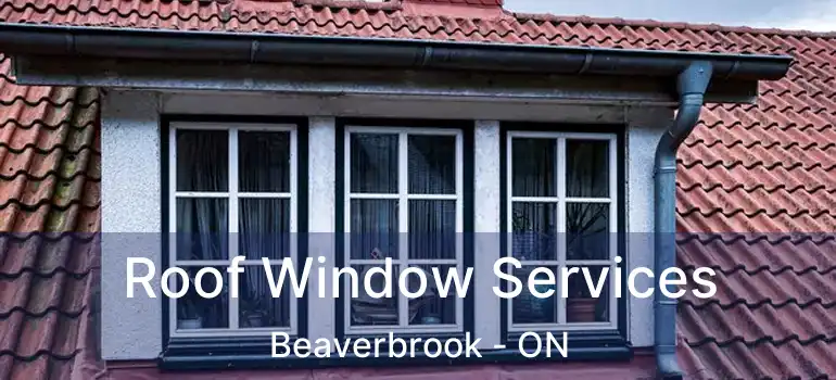  Roof Window Services Beaverbrook - ON
