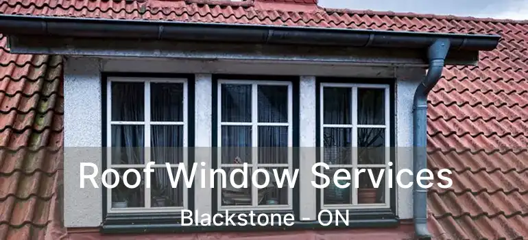  Roof Window Services Blackstone - ON