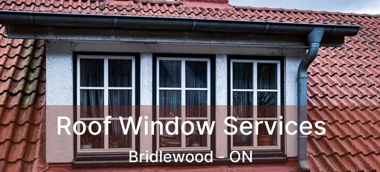  Roof Window Services Bridlewood - ON