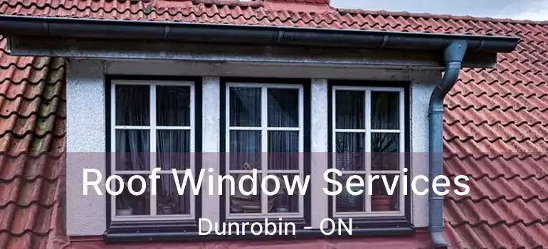  Roof Window Services Dunrobin - ON