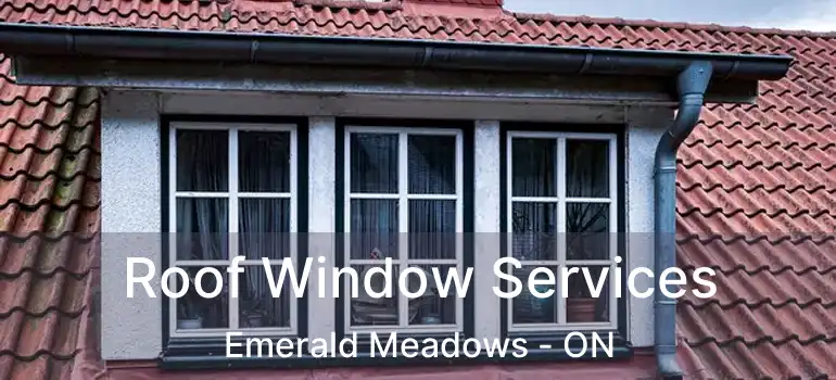  Roof Window Services Emerald Meadows - ON