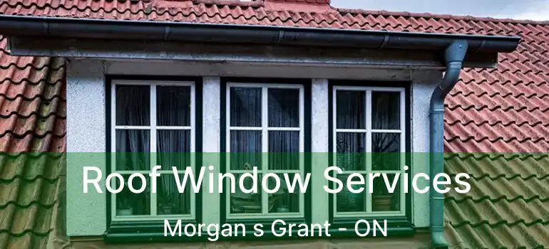  Roof Window Services Morgan s Grant - ON