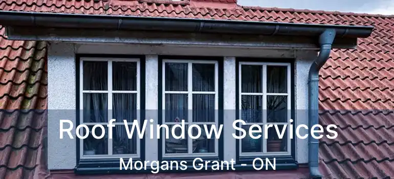  Roof Window Services Morgans Grant - ON
