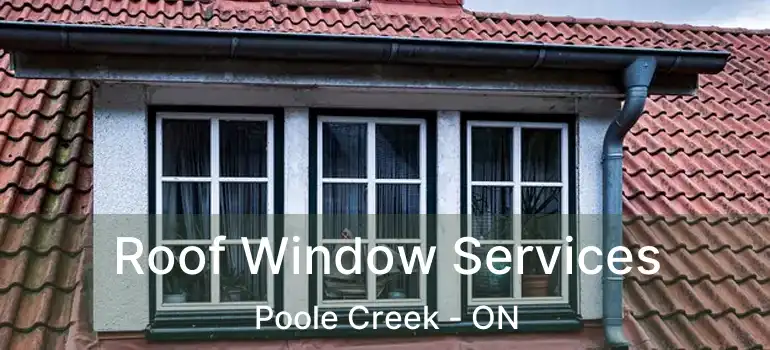  Roof Window Services Poole Creek - ON